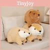 Adorable Beaver Plush Toy Cartoon Sofa Decor Gift Girls Cuddly Doll Decorative