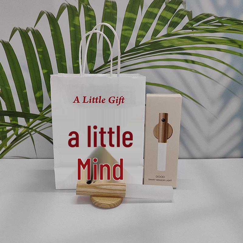 Rechargeable LED Motion Sensor Night Light for Bathroom or Corridor