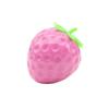Large Strawberry Toy Color Changing Stress Sensory Toy for Kids