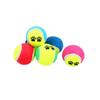 Dog Training Mini Micro Elastic Throwing Tennis Ball Cute Footprint Puppy Cat Chew Safe Balls Soft Small Pets Teething Toys