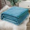 Coral Fleece Flannel Blanket