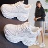 Inner Heightening Platform Dad Shoes Women's Autumn Fashion New Casual Sports Shoes High Value