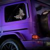 Lion & St. Mark's Basilica Glass Car Decal (Butterfly)