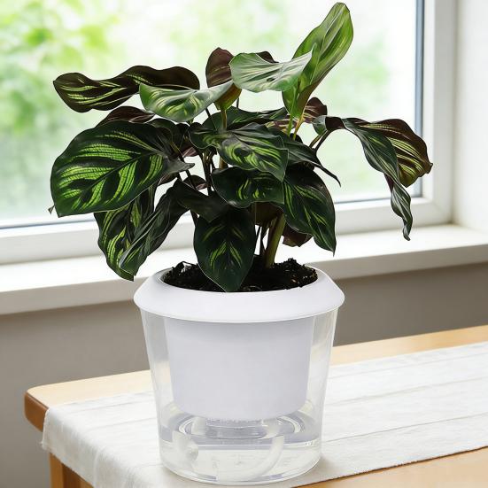 Self Watering Plant Pots Indoor Plants Planter with Reservoir Clear Plastic Round Flower Pot with Wick Ropes for Succulents Herbs Flowers Office Home