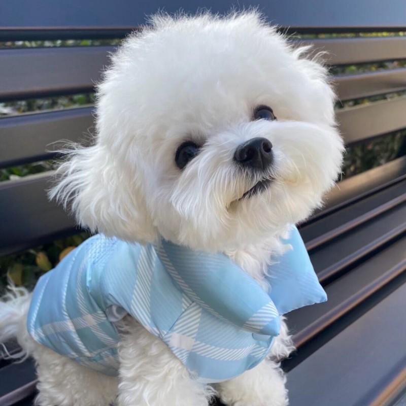 Warm Winter Dog Coat Small Medium Dogs Coral Fleece Pet Vest Ins Style Four Legs Optional