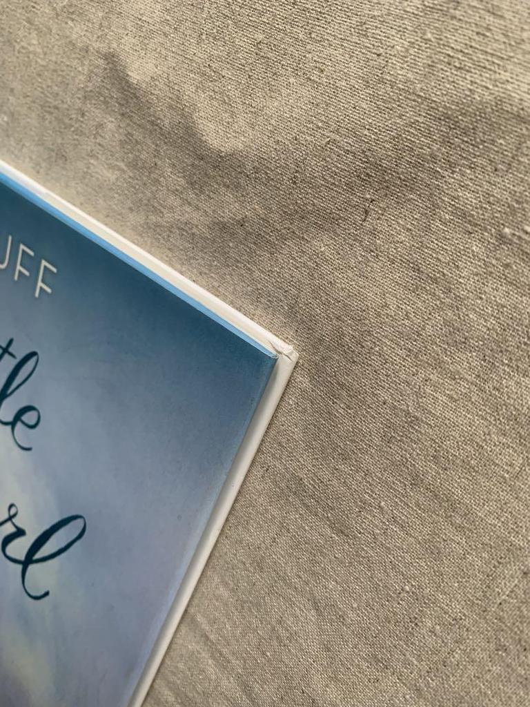 [USED] My Little Brave Girl Hilary Duff English Picture Book