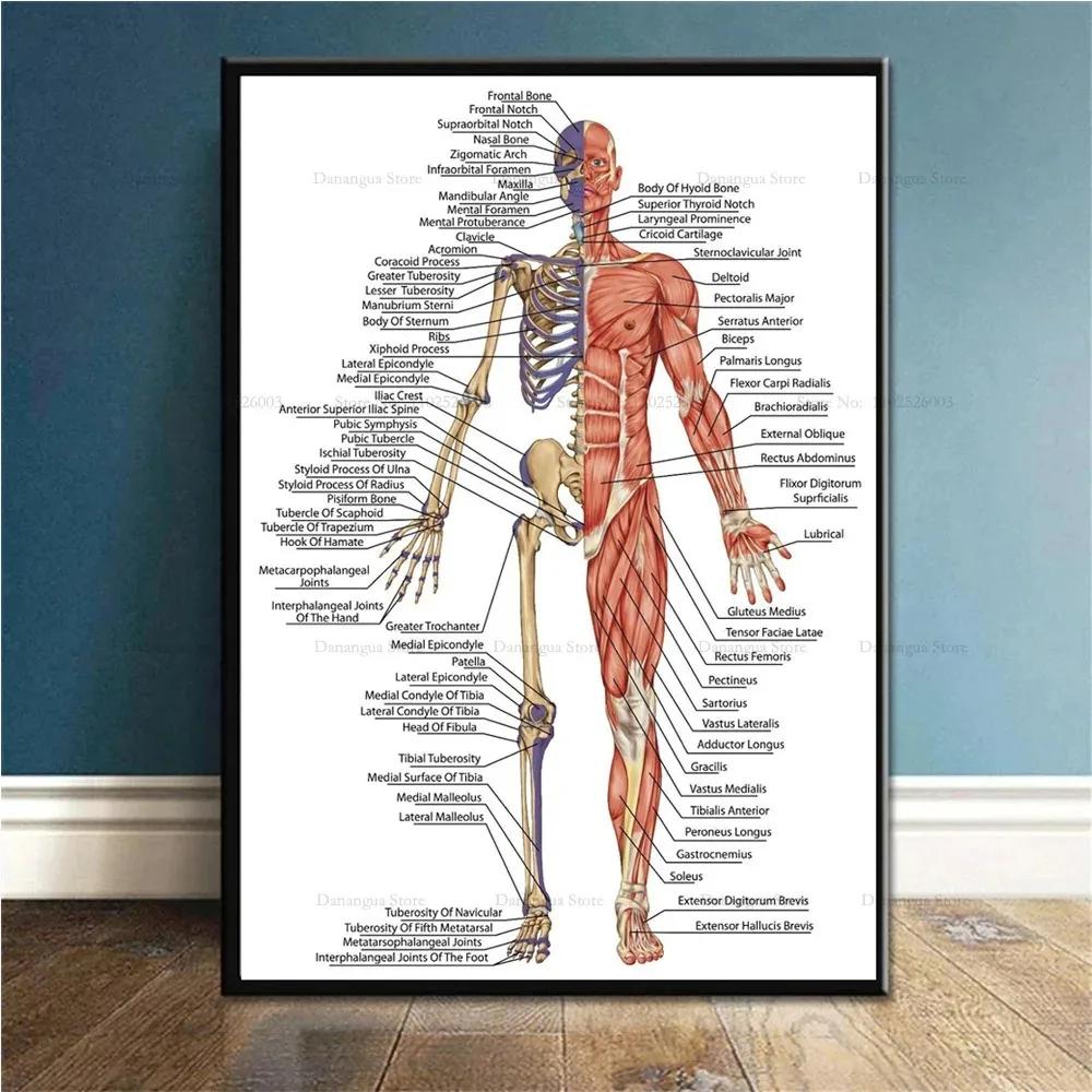 

Абстрактная фигура танцовщицы Холст Живопись Балерина Принты и Постеры Настенное Искусство Картины Для Гостиной Украшение Дома Cuadros 20X28inch 50x70cm