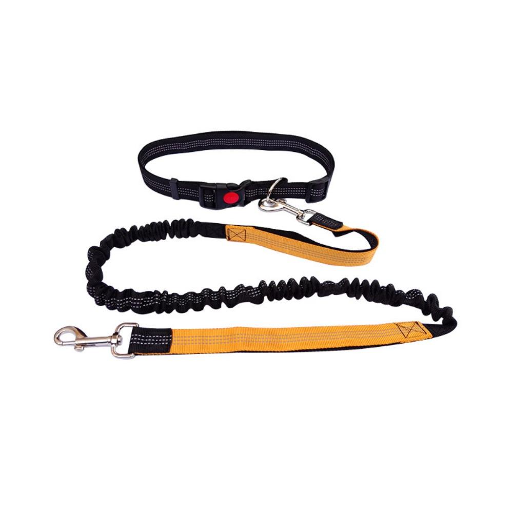 Double Stretch Running Dog Leash Reflective Dog Traction Rope Pet Walking Leash  for Dogs Cats