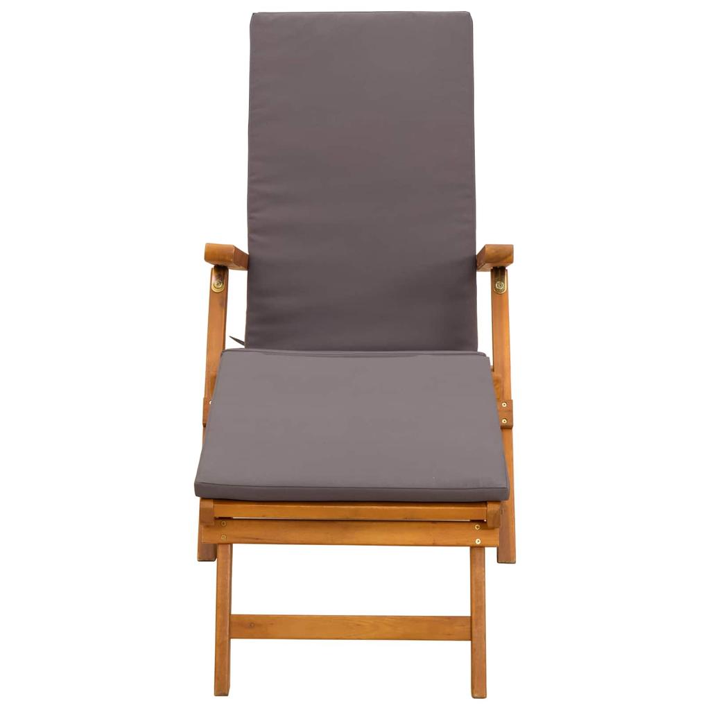 Adjustable and Foldable Sun Lounger 2 Pcs Grey Brown