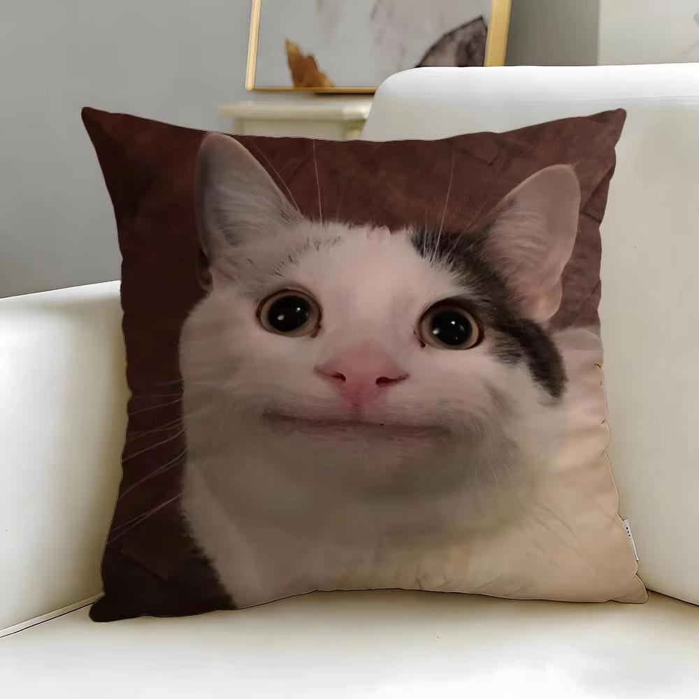 Double Sided Funny Cat Meme Throw Pillow Cover, Soft Short Plush Polyester Cushion for Sofa Bedroom Home Decor Gift