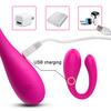 Wireless Remote Control Panties Vibrator U-shaped Adult Toys Clitoris Stimulator Female Masturbator
