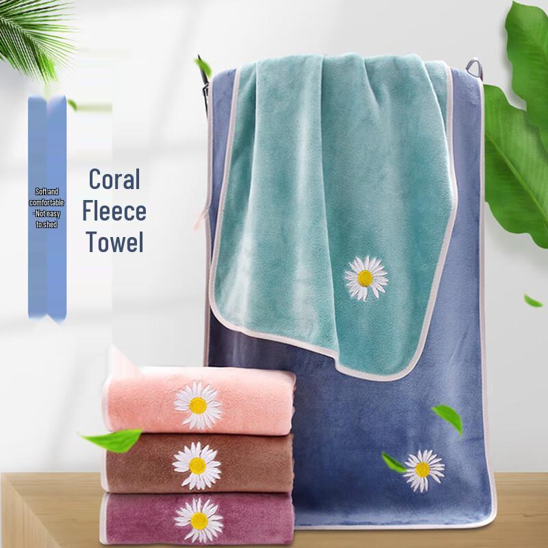 Homeglen Coral Fleece Nanofiber Towel