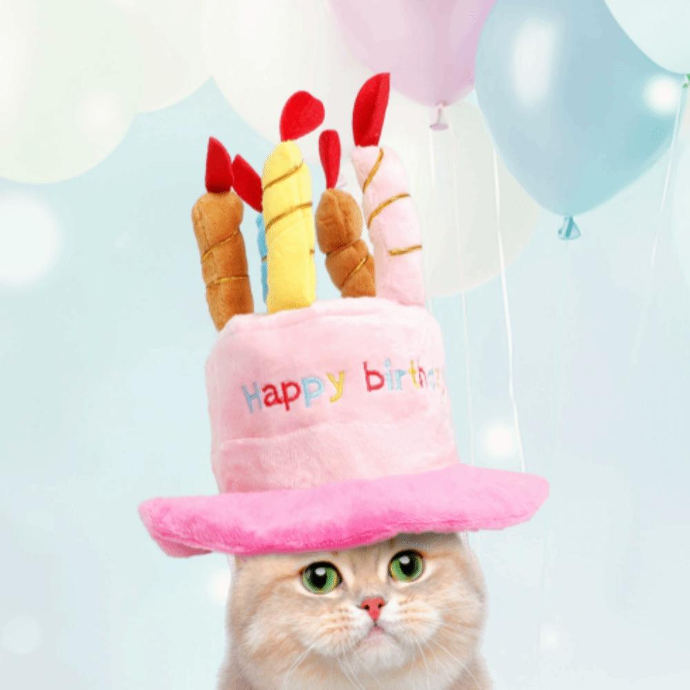 Birthday Theme Birthday Cake Hat Cake Shape Pet Headwear Cap New Puppy Kitten Hat Party Decor