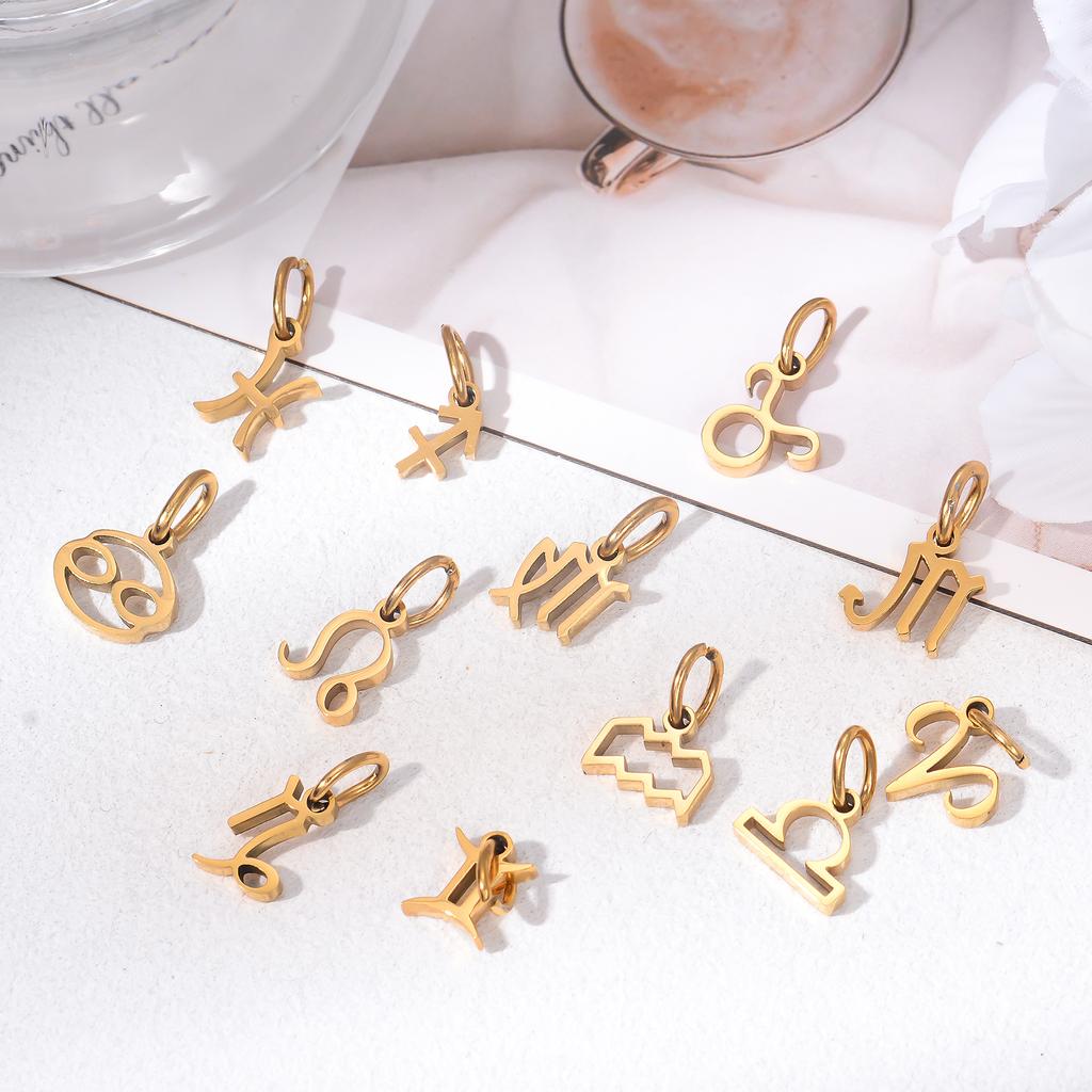 Wholesale 6pcs/lot 12 Constellation Zodiac Charm Pendant Stainless Steel High Quality DIY Jewelry Making Accessories