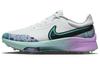 Air Zoom Infinity Tour NEXT% Nrg Wide 'Live To Play Play To Live' FD5424-100