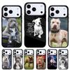 Telefon kapları – Smartphone Bumper Kılıflar