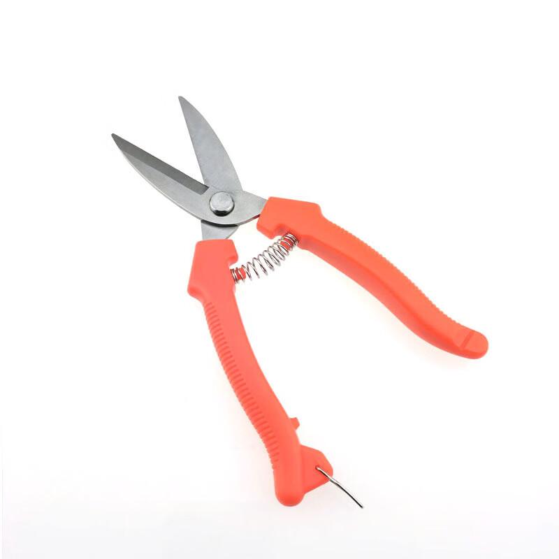 Zhi Shi Stainless Steel Fruit Pruning Shears