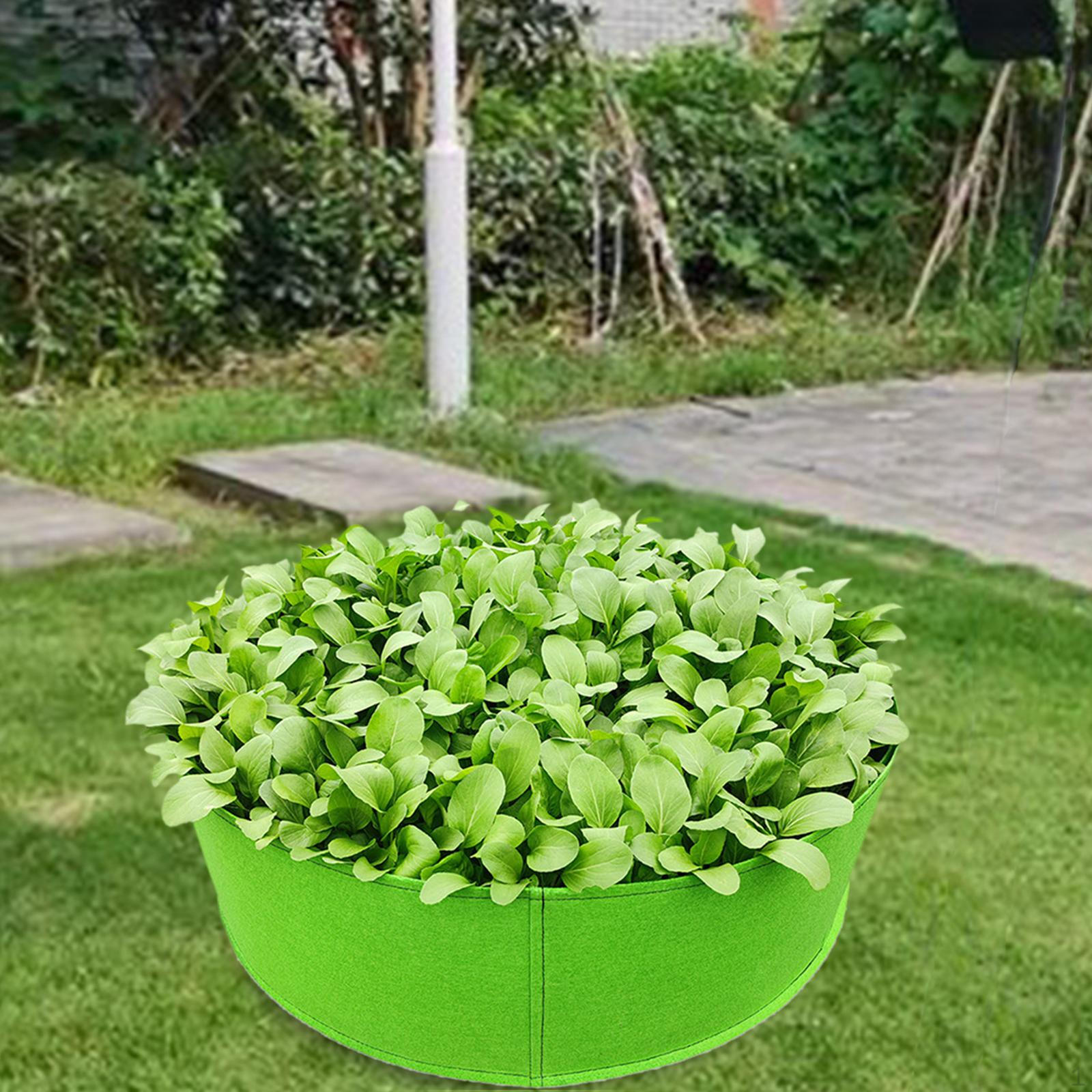 Raised Garden Beds for Outdoor Planting 80cmx30cm
