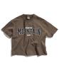 Peullukeu Crop World Mountain Embroidered Logo Pigment Short Sleeve T-Shirt Brown Fst741C
