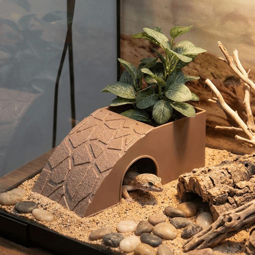 With Moss Tray Reptile Hideout Cave Anti Drowning Water Dispenser Reptile Feeding Box  Pet Breeding