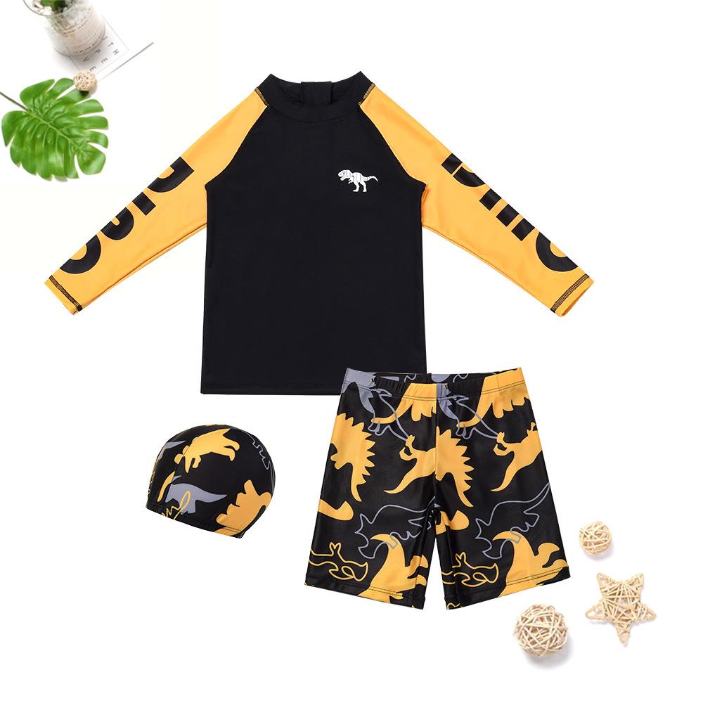 Boys  separate swimsuit with dinosaur print - long-sleeved sun-protective swimsuit 100