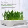 Anti-Pull Out Cat Grass Planter Plastic Wheat Seedling Pot Easy Grow Sprout Tray  Indoor Growing