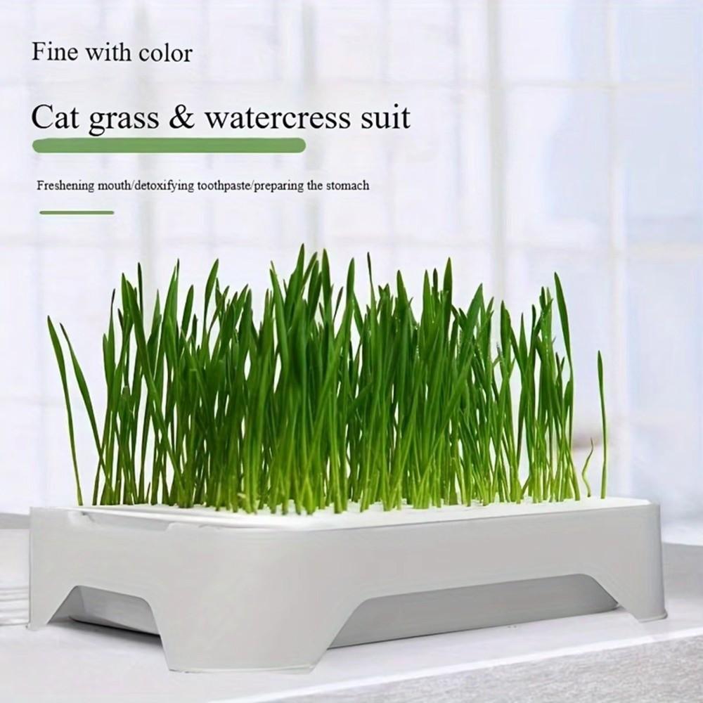 Anti-Pull Out Cat Grass Planter Plastic Wheat Seedling Pot Easy Grow Sprout Tray  Indoor Growing