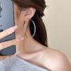 Women's High-End Plain Hoop Earrings: Light Luxury Ear Drops & Studs, Niche Design for Autumn/Winter.