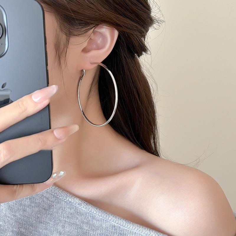 Women's High-End Plain Hoop Earrings: Light Luxury Ear Drops & Studs, Niche Design for Autumn/Winter.