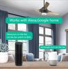 WiFi Smart Home Fan Speed Control Switch with App Timer & Alexa Voice for Ceiling Fans