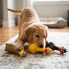Squeaky Sound Latex Chew Toy Standing Form Dog Training Toy Pet Sound Plaything  Puppy Training