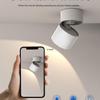 Adjustable Angle Surface-Mounted Downlight for Bedroom and Corridor
