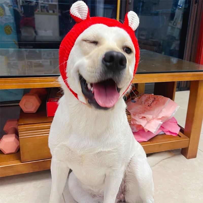 Pet Hat Winter Labrador Golden Retriever Funny Headgear Warm Cute Puppy Hat