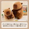 Miaomyao Plush Animal Toy, Capybara Scarf, Fluffy, Soothing Item, Birthday Gift for Kids and Adults, 35cm