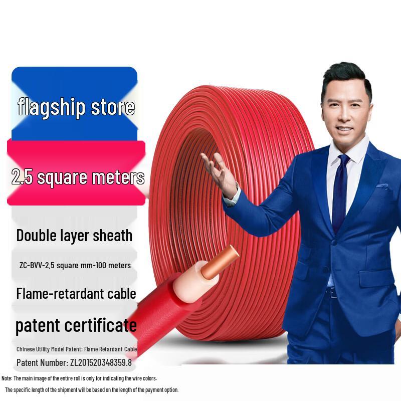 

TANERDD BVV Household Pure Copper Electric Wire