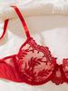 Kajano Sexy Embroidered Multi-color Mesh Lace Push-up Lingerie Set for Women
