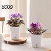 Self Watering Pots for Indoor Plants Plant Plants, Small Planters with Water Level Indicator, Clear Gardening Pothos Inner Cup, Drainage