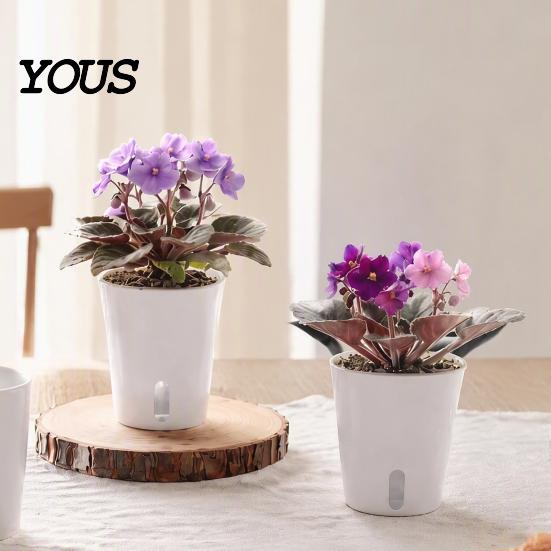 Self Watering Pots for Indoor Plants Plant Plants, Small Planters with Water Level Indicator, Clear Gardening Pothos Inner Cup, Drainage