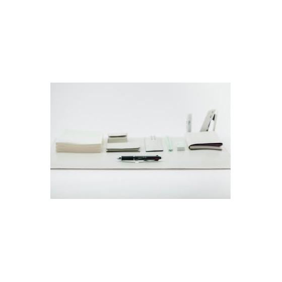 CDT Craft Design Technology Frixion Ballpoint Pen PIPH3-080