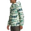 THE NORTH FACE Jackets & Coats Men's Green NF0A82RA-IO0