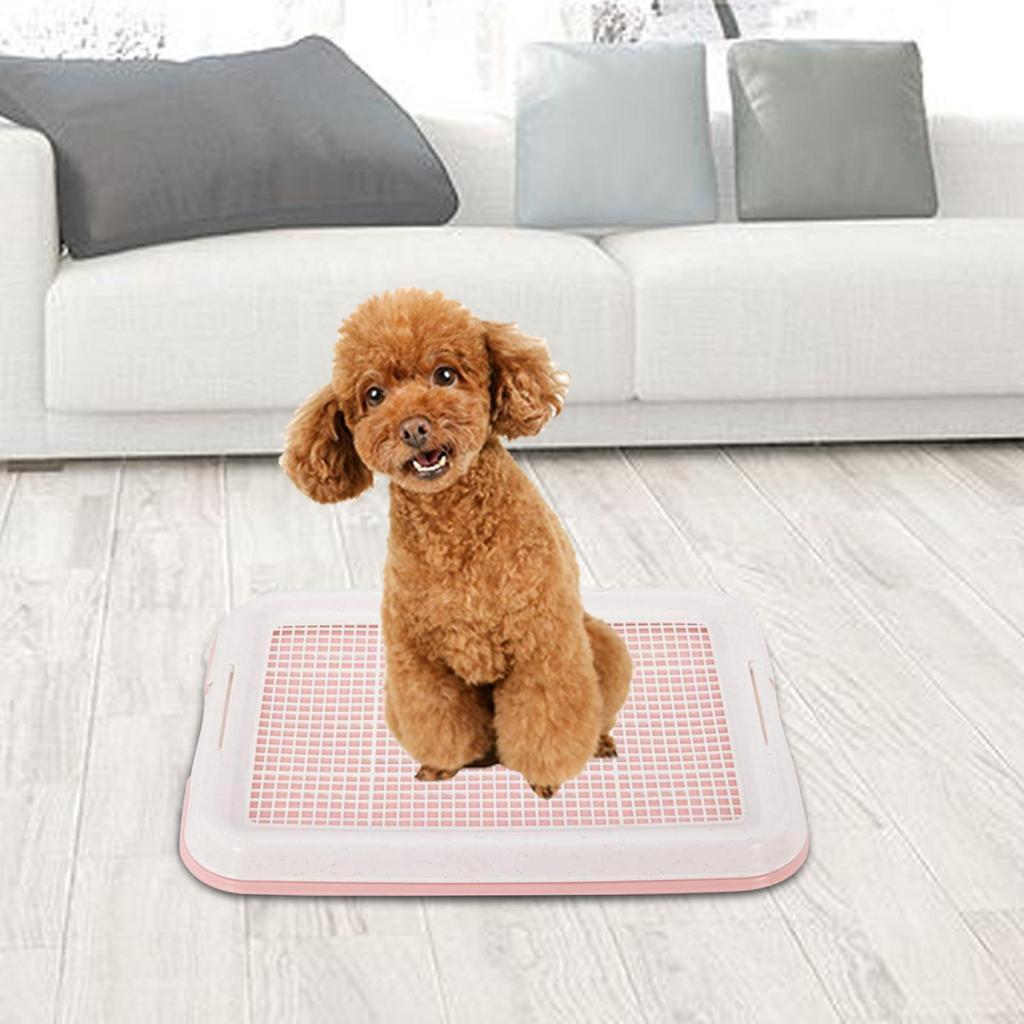 Dog Potty Toilet Training Tray/ Dog Litter Box with Secure Latch/ Indoor Outdoor