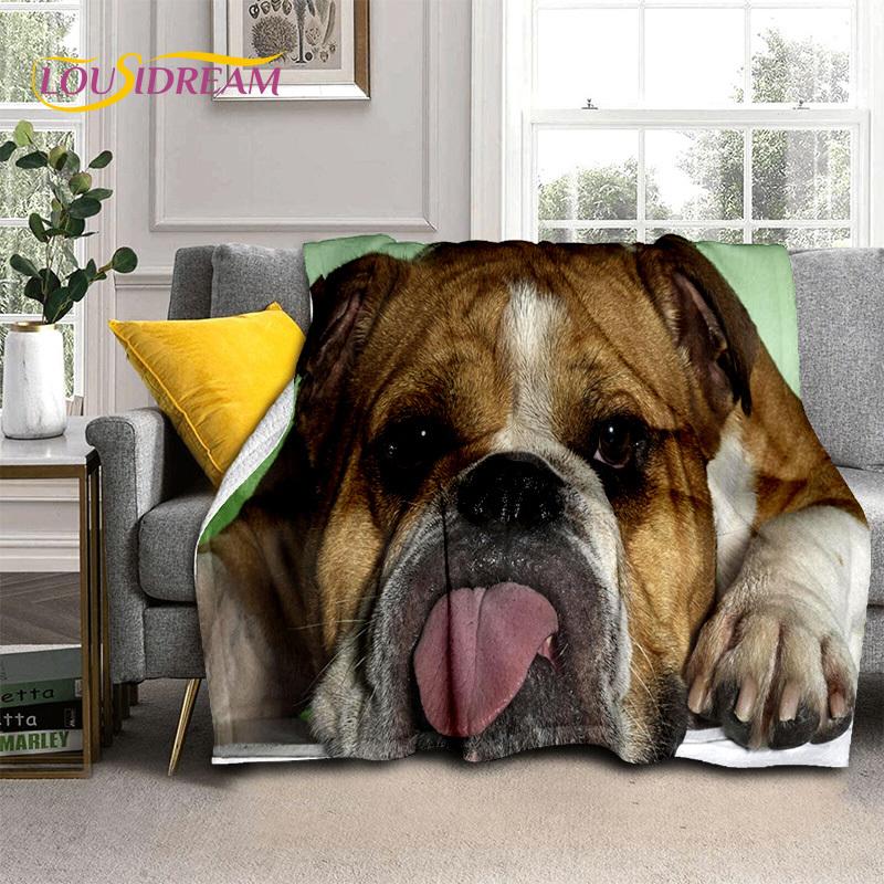 Cartoon French Pit Bull Dog Pet 3D Blanket,Soft Throw Blanket for Home Bedroom Bed Sofa Picnic Travel Office Cover Blanket Kids