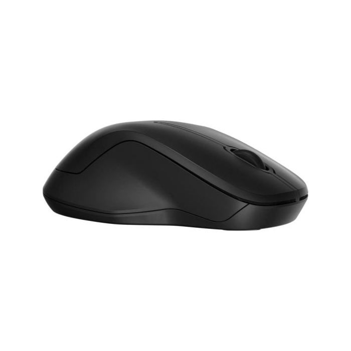 HP 255 Dual Wireless Mouse (EN