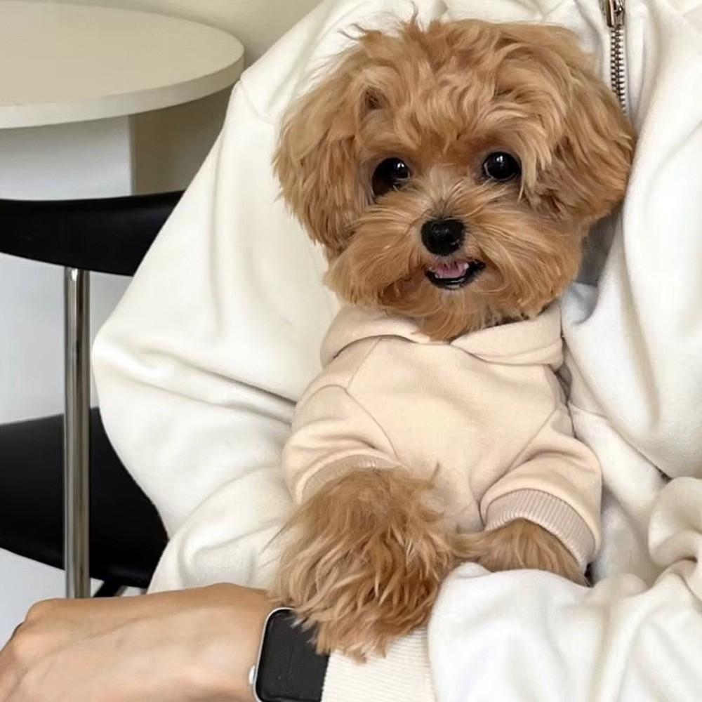 Comfortable Pet Clothes Pullover Design Puppy Costume New Dog Apparel Outdoor