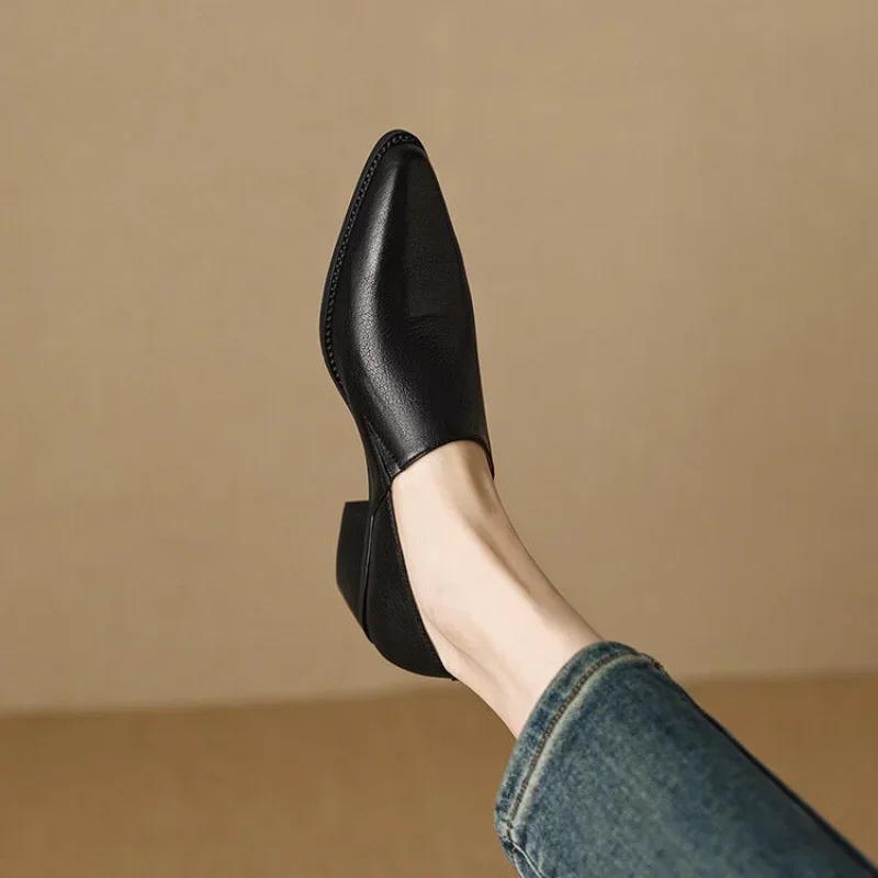 Fashion Single-shoe Girls Spring and Autumn New Thick-heeled Pointy Retro Small Leather Shoes Women's Shoes With