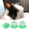100Pcs Quality Plastic Animal Livestock Ear Tag for Rabbit Fox Dog  Marker Label(Green)