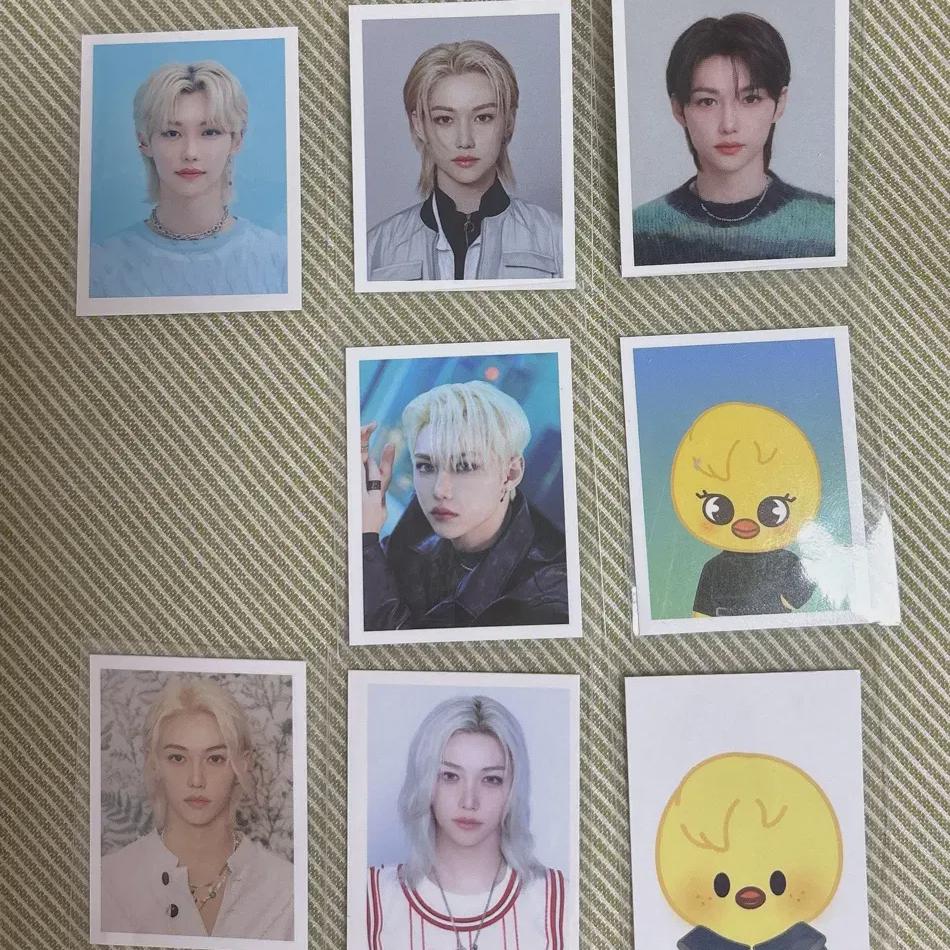 Straykids Felix Zertifikat der Zertifizierung Foto Batch Bubble Straykids Ski Skzoo
