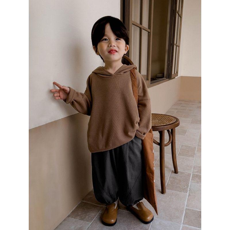 Children's Clothing Boys' Solid Hoodie Pullover Autumn Children's Korean Series Hood Top Children's Spring and Autumn Long sleeve Top