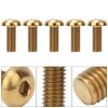 5pcs  Pack Titanium Alloy M5*12 Bicycle Water Bottle Cage Bolts M5*10 Disc Brake Screws(M5*12 Gold