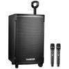Takstar WDA-1200 Portable Wireless Bluetooth Trolley Speaker